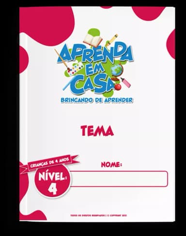 NÍVEL 4