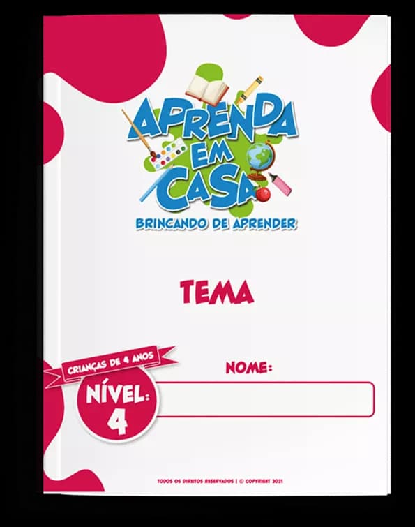 NÍVEL 4